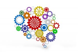 mind cogg image for blog post