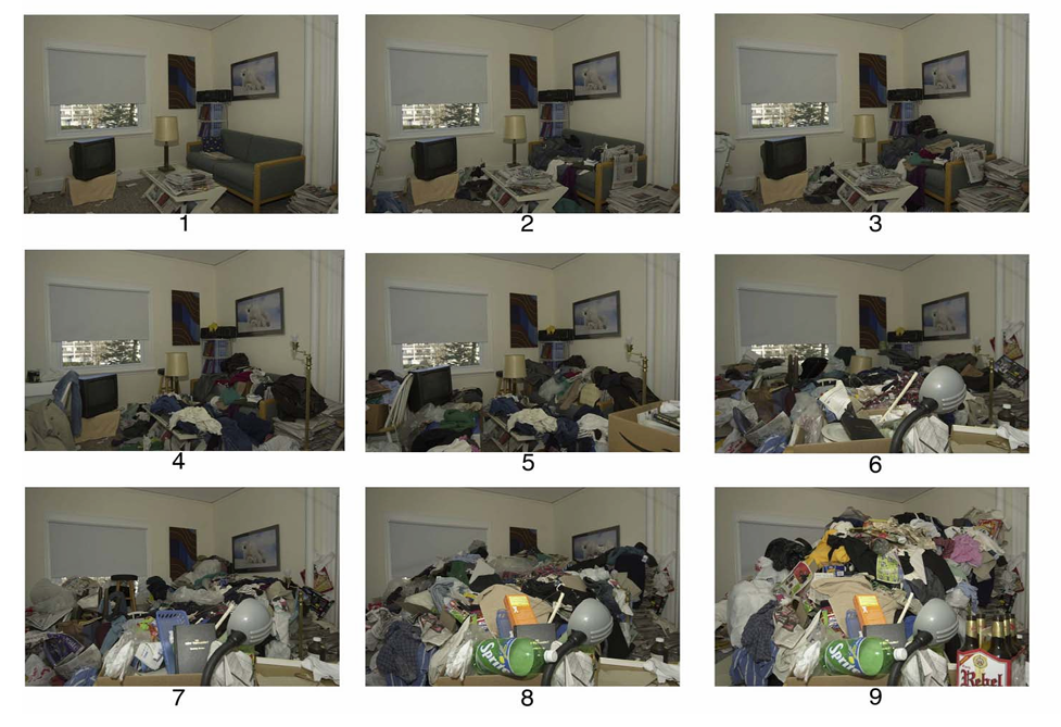 Clutter Image Rating for compulsive hoarding behaviour - help with house clearance and organising.